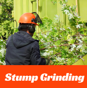 Stump Grinding  